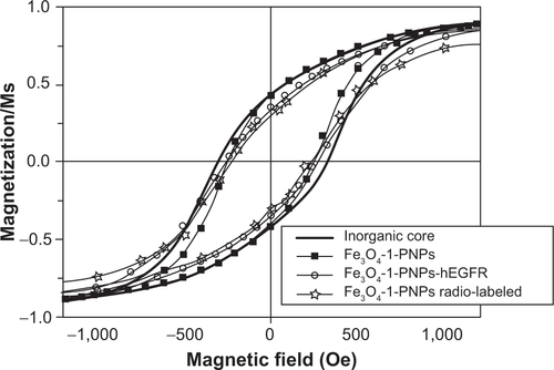 Figure S10 Comparison of the magnetization curve of the inorganic core and those of the hybrid nanoparticles functionalized by hEGFR and then radiolabeled by 99Tc. The curves are collected at low temperature (2.5 K) and normalized to the corresponding saturation magnetization.Abbreviations: hEGFR, human epidermal growth factor receptor; PNPs, polymeric nanoparticles.