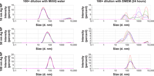 Figure S1 DLS distribution graphs of 10 nm, 50 nm and 100 nm Ag NPs diluted with water and DMEM cell cultured media (24 hours).