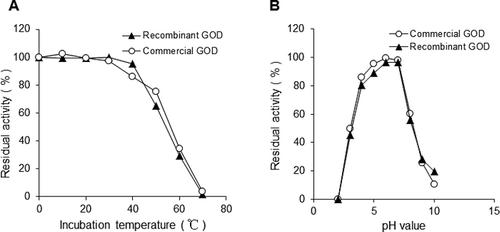 Figure 6. Thermal stability (A) and pH stability (B) of recombinant and A. niger GOD protein under the same conditions.