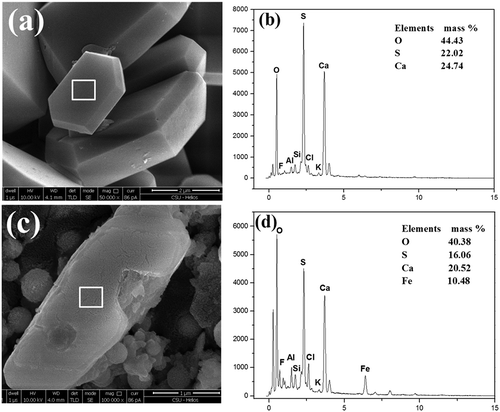 Figure 5. SEM-EDS of perfect crystallized and nonperfect crystallized CaSO4 crystals. (a) Morphology of perfect crystallized CaSO4 crystals; (b) EDX spectrum of perfect crystallized CaSO4 crystals; (c) morphology of nonperfect crystallized CaSO4 crystals; (d) EDX spectrum of nonperfect crystallized CaSO4 crystals.