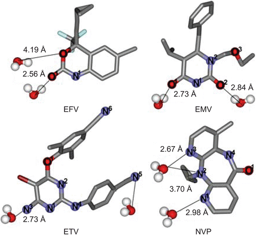 Figure 4.  Snapshot of the MD simulation showing the surrounding water molecules of the first hydration shell of the four NNRTIs in the HIV-1 RT binding pocket.