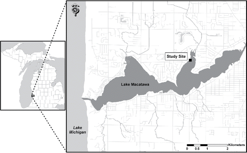 Figure 1. Study site location. Inset: location of Lake Macatawa, MI. Blow up: Lake Macatawa showing connection to Lake Michigan and location of study site in Pine Bay.