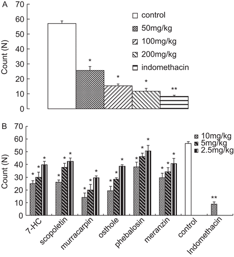 Figure 3.  (A) Effect of the ethanol extracts on acetic acid-induced writhing response in mice. (B) Effect of the isolated compounds on acetic acid-induced writhing response in mice. Results are expressed as mean ± SD (n = 6), *P < 0.05 and **P < 0.01 compared with control.