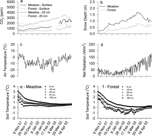 FIGURE 2. 2001–2002 winter mean daily values (n = 48 half-hour readings per day) for (a) CO2 under snow, (b) snow depth, (c) air temperature, (d) net radiation, (e) meadow soil temperature, and (f) forest soil temperature. CO2 samples were collected at the soil surface at the base of the snowpack, and at −25 cm deep underground