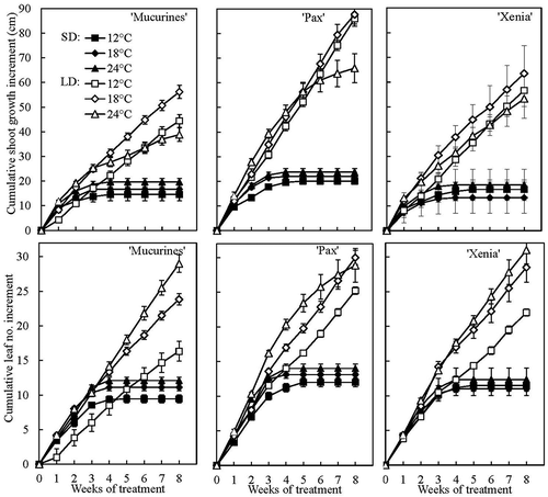 Figure 6. Time courses of cumulative shoot growth and leaf number increment in three gooseberry cultivars grown at 12, 18 and 24°C under 10-h SD and 20-h LD conditions for eight weeks. Data are means (± SE) for the main shoot of three replications with three plants each (Exp. II).