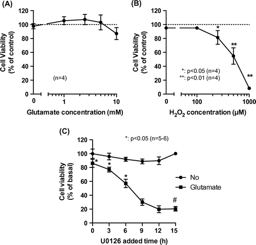 Fig. 2. Effect of biphasic Erk1/2 activation on glutamate-induced cell death.