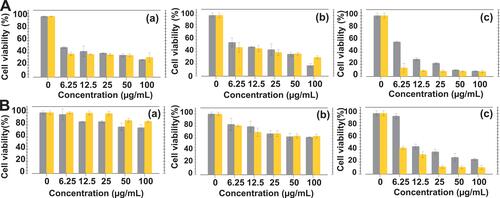 Figure 9 Cellular viabilities of (A) PC-3 and (B) LNCaP cells after treating with AuNPs-WCS-GA (gray histogram) and AuNPs-WCS-GA-DBBN (yellow histogram) (50 μg/mL) for (a) 24, (b) 48 and (c) 72 h.