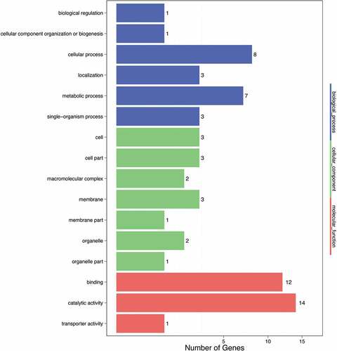 Figure 1. GO enrichment analysis results.