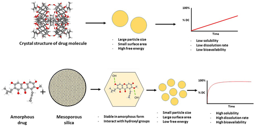 Figure 7 The mechanism of drug release improvement from the drug within non-functionalized mesoporous silica.