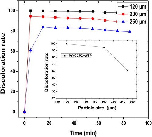 Figure 5. Particle size effect of the filter materials (PY, WSP, and CCPC) on the discoloration rate. Interval of different size (Ø = 120–200 μm), H = 4.5 cm, D = 50 mL min−1, pH = 6.91 and T = 25 °C.