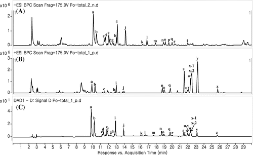 Figure 1. MS and UV chromatograms of P. orientale extracts. (A) negative ionization mode; (B) positive ionization mode; (C) 330 nm.