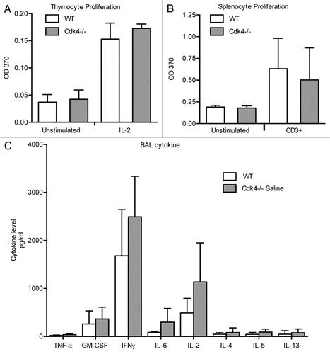 Figure 4 Cdk4−/− cells proliferate, secrete cytokines in response to stimulation. (A) Thymocytes were incubated for 48 h with IL-2. (B) Splenocytes were incubated for 48 h on anti-CD3 antibodies. Proliferation was measured by BrdU incorporation. (C) Cytokine expression in conditioned media from stimulated splenocytes. N = 3/group. Means ± SD are shown.