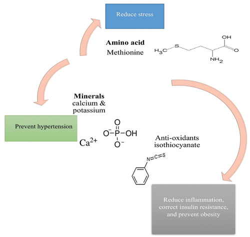 Figure 4. Working of different functional compounds of microgreens against metabolic diseases.