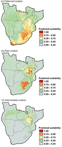 Figure 5. Maxent models of predicted suitable habitat for: (a) patterned, (b) plain, and (c) intermediate morphs of Dasypeltis scabra across southern Africa. Warmer colours represent higher probabilities of suitable habitat.