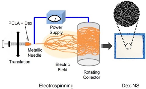 Figure 13 A schematic illustration of dexamethasone loaded nanofibers (Dex-NS).Notes: Adapted from Lee JW, Lee HY, Park SH, et al. Preparation and evaluation of dexamethasone-loaded electrospun nanofiber sheets as a sustained drug delivery system. Materials. 2016;9(3):175-186Citation331