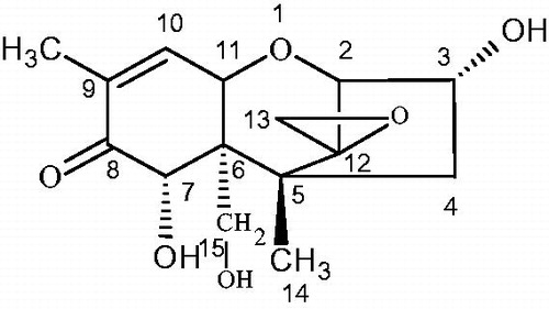 Figure 1. Molecular structure of DON. DON: deoxynivalenol.