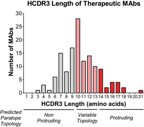 Figure 4. Few currently marketed therapeutic antibodies have long HCDR3. We analyzed the HCDR3 sequences of 137 FDA approved and late clinical stage MAbs.5 The average HCDR3 length of these MAbs was 10 amino acids. Only 16% of these MAbs have an HCDR3 length of 14 amino acids or more, the predicted threshold to form a protruding topology. The relationship between HCDR3 length and paratope shape noted here is based on the study by Ramsland et al.32