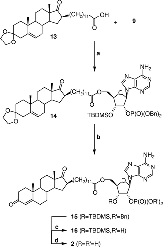 Scheme 3 Synthesis of 2. Reagents, conditions and yields: (a) i. 13, EDCI, DMAP, DMF, rt, 30 min; ii. 9, DMF, rt, 16 h (47%); (b) p-TSA, CH2Cl2, MeOH, rt, 1 h (59%); (c) Pd(OH)2, cyclohexene, MeOH, reflux, 30 min; (d) HClg, CH2Cl2, rt, 30 min (56% for two steps).