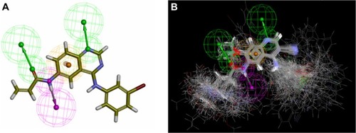 Figure 3 The common pharmacophore feature generated from compound T-001Citation37 (A) and 138 tyrosine kinase inhibitors (TKIs)Citation34–Citation37 superimposed on the feature (B). Aromatic hydrophobic center is represented by the orange wire mesh ball. Hydrogen bond accepter is depicted with the green arrow and wire mesh balls while the hydrogen bond donor is described by the pink arrow and wire mesh balls.