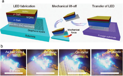 Figure 7. 2D materials-assisted device transferability. (a) Schematic of the GaN film LEDs fabricated on graphene layers by direct growth and their transfer processes on foreign substrate. (b) Light emission images of the as-fabricated LED on the original substrate and transferred LEDs onto the foreign substrates. From [Chung et al., Science 330, 6004 (2010)]. Reprinted with permission from AAAS.