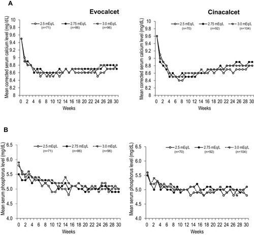 Figure 2 Trends in mean serum corrected calcium (A) and phosphate (B) level by dialysate calcium concentration in patients treated with evocalcet and cinacalcet.