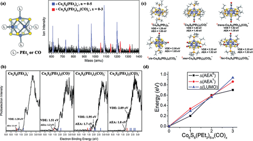 Figure 7. Turning the electronic properties via ligand substitution [Citation96]. The (a) structure of Co6S8(PEt3)6-x and mass spectrum of Co6S8(PEt3)6-x(CO)x¯ produced utilizing IR/PE anion source, (b) negative ion photoelectron spectra of Co6S8(PEt3)6-x(CO)x¯ (x = 0–3), (c) theoretical lowest-energy structures of the Co6S8(PEt3)6-x(CO)x¯ (x = 0–3) clusters, and (d) incremental differences in the experimental AEA values, the theoretical AEA values, and the LUMO values of Co6S8(PEt3)6-x(CO)x, each with respect to Co6S8(PEt3)6. Adapted with permission from ref 96. Copyright 2001 the Royal Society of Chemistry.