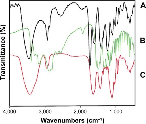 Figure 1 Fourier transform infrared spectrum of (A) dendrimer-G2, (B) glutamine, and (C) dendrimer–glutamine.