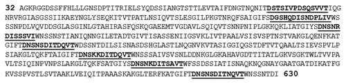 Figure 3 Sequence of the common region (LigCon) indicating a consensus sequence in each tandem repeat (shown in bold and underlined).