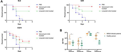 Figure 6 The combination of antibiotic and mAb cocktail reduced clinical MRSA isolates infection in a lethal sepsis model. (A) Percentage survival against BJ2, GZ9 and CQ19 infection in the vancomycin (0.05 mg) combined with mAb cocktail (0.5 mg), linezolid (0.1 mg) combined with mAb cocktail (0.5 mg), and PBS-treated mice (n = 10). (B) The reactivity of serum samples from clinical MRSA infected patients against theses four dominant epitope peptides (SEB78–95, SEB222–239, Hla48–65 and IsdB432–449). *p < 0.05, **p < 0.01.