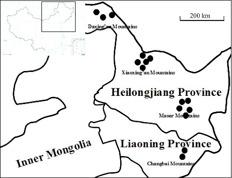 Figure 1. Sampling sites of P. betulinus.