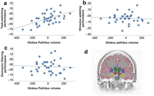 Figure 2. Scatterplots depicting the associations between individual variation in the left globus pallidus volume (unstandardized residuals when correcting for total intracranial volume and study side is presented) and performance in a) task-switching; b) stimulus updating; c) distractor filtering. d) Coronal view of a segmented brain where the globus pallidus is labeled in blue color. The differences in the y-axis between panel B and panels A and C reflect differences in the performance range of the three functions studied, task-switching, stimulus updating and distractor filtering