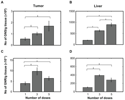 Figure 2 (A and B) Number density of GNSs/g of tissue for different numbers of doses (1,3, and 5) in tumor and liver, respectively. (C and D) Number density of GNRs/g of tissue for different doses in tumor and liver, respectively.Notes: Error bars represent standard error. Brackets indicate statistical significance P < 0.05.Abbreviations: GNS, gold nanoshells; GNR, gold nanorods.