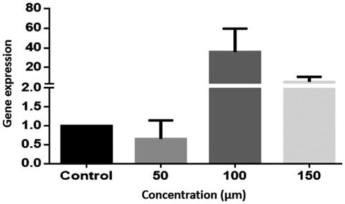 Figure 3. Bax gene expression in the LS-180 cell line. The expression of genes was measured using the Real-Time PCR technique and compared to control cells. The results are repeated three times and tested as Mean ± SEM.