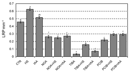 Figure 6 Changes in the density of LRP mm−1 in four-day-old DR5::GUS Arabidopsis seedlings after 24 hours of treatments with IAA (34 nM) or HS (1 mgC L−1) and in response to different auxin inhibitors.Citation28