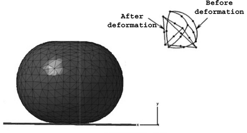 Figure 4 Mesh construction of a 3D model of a peach.