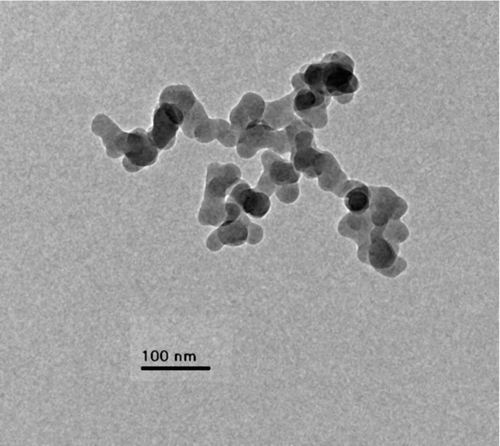 FIG. 1 Fumed silica aggregate composed of multiple primary particles.