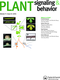 Cover image for Plant Signaling & Behavior, Volume 11, Issue 12, 2016