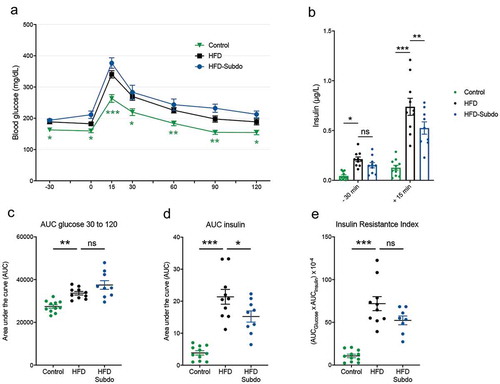 Figure 3. Subdoligranulum variabile supplementation does not impact on glucose metabolism