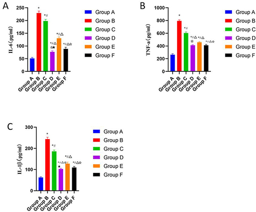 Figure 2 Effects of CGG on the pro-inflammatory factors’ expressions in knee cartilage tissues of KOA rats. Expression levels of IL-6 (A), TNF-α (B), and IL-1β (C) in cartilage tissues of KOA rats in each group. Notes: Group A, the blank group; Group B, the model control group; Group C, the CGG low-dose group; Group D, the CGG medium-dose group; Group E, the CGG high-dose group; Group F, the glucosamine hydrochloride group. CGG, Chonggu Granules. KOA, knee osteoarthritis. *Compared with group A, P < 0.05; # Compared with group B, P < 0.05; Δ Compared with group C, P < 0.05; ☆ Compared with group E, P < 0.05; ★ Compared with F group, P < 0.05.