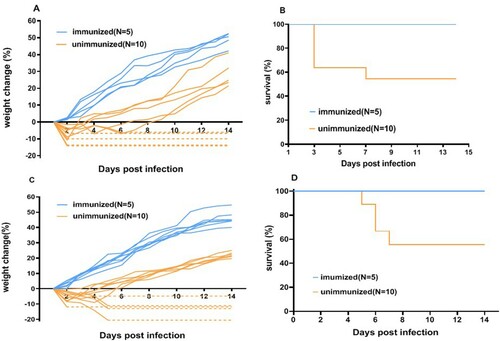 Figure 2. Weight change and survival of hSCARB2 mice after infection with EV-A71. One-week-old hSCARB2 mice were immunized twice with an inactivated EV-A71 vaccine via the I.P. route, with an interval of 1 week. The unimmunized mice were injected with the adjuvant. Four-week-old immunized and unimmunized mice were challenged with EV-A71 live virus (a and b) injected via the I.C. or (c and d) the I.V. route. The dotted lines represent the death of the mice. No mice died following injection with DMEM culture without virus (N = 5), not shown in the figure.