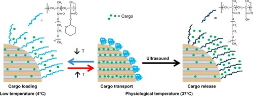 Figure 16 Schematic illustration of the behavior of dual-responsive release system in aqueous medium.Note: Reprinted with permission from Paris JL, Cabañas MV, Manzano M, Vallet-Regí M. Polymer-grafted mesoporous silica nanoparticles as ultrasound-responsive drug carriers. ACS Nano. 2015;9(11):11023–11033. Copyright 2015 American Chemical Society.Citation158Abbreviation: T, temperature.