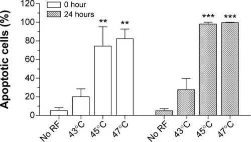 Figure 12 Percentage of apoptotic cells at 0 hours and 24 hours after treatment with a single cycle of RF-induced dextran-coated LSMO-mediated hyperthermia. **P<0.01, ***P<0.001, one-way analysis of variance followed by Dunnett’s test.Abbreviations: LSMO, La0.7Sr0.3MnO3; RF, radiofrequency.