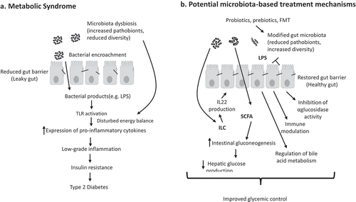 Figure 1. Overview of how a dysbiotic gut microbiota can promote type 2 diabetes (a) and how microbiota-based therapies might treat and/or prevent this disorder (b).