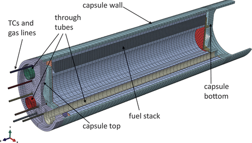 Fig. 7. Cutaway view of the finite element mesh of Capsule 2.