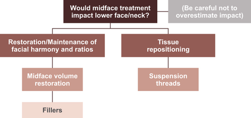 Figure 5 Decision tree illustrating considerations for clinical evaluation of patient candidacy for initial midface treatment.