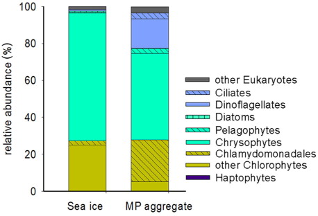 Fig. 4  Histogram showing the relative abundances (%) of major taxonomic groups, obtained by 454-pyrosequencing read distribution in the sea-ice bottom layer and melt-pond aggregate.