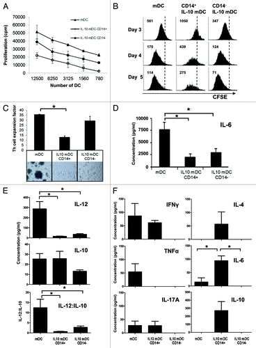 Figure 3. T-cell stimulatory characteristics of CD14+ and CD14− dendritic cells matured in the presence of interleukin-10. (A) Allostimulation of T cells by monocyte-derived dendritic cells (DCs) matured in the absence (mDCs) or in the presence (IL-10-mDCs) of interleukin (IL)-10 sorted by CD14 expression. Mean proliferation ± SEM from n = 3 mixed leukocyte reactivity (MLR) tests. (B) After 8 d of allostimulation with different mDC subsets, T cells were pulsed with CFSE and re-stimulated with anti-CD3 and anti-CD28 monoclonal antibodies, and proliferation was followed over time by CFSE dilution. Data from one representative experiment out of three are shown. (C) CD4+CD25- TH cells were stimulated with anti-CD3 monoclonal antibody (OKT3)-loaded autologous mDC populations and—after 14 d—expansion factors were measured. Data are shown as means ± SEM of n = 4 experiments, *p < 0.05. Representative microphotographs are reported (100× magnification). (D and E) Secretion of IL-6 (D) or IL-12p70 and IL-10 (E) by mDCs and IL-10-mDCs sorted by CD14 expression, upon CD40 ligation. Mean IL-12p70 and IL-10 concentrations were divided to obtain IL-12p70:IL-10 ratios for the indicated conditions. Data represent means ± SEM from n = 5 experiments, *p < 0.05. (F) After co-culturing CD4+CD25− TH cells with different OKT3-loaded autologous mDC populations for 14 d, they were re-stimulated with anti-CD3 and −CD28 monoclonal antibodies and tested for the release of interferon γ (IFNγ), tumor necrosis factor α (TNFα), IL-4, IL-6, IL-10 and IL-17 (TH1/TH2/TH17) 24 h later. Data represent means ± SD from n = 5 experiments, *p < 0.05.