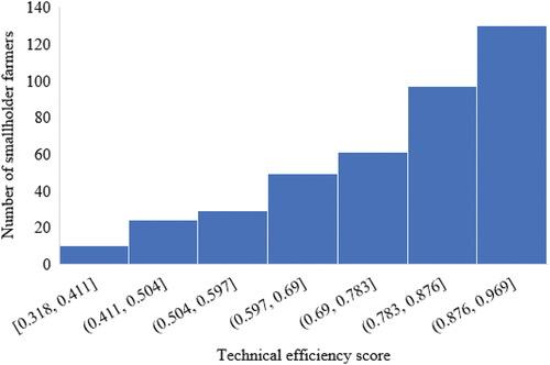Figure 2. Technical efficiency score distribution of smallholder farmers (N = 400).