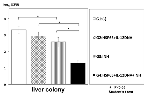 Figure 2. Synergistic therapeutic efficacy of HVJ-Envelope/HSP65 DNA+IL-12 DNA vaccine and INH on TB infection of mice. BALB/c mice were infected with H37Rv TB by using intratracheal aerosol challenge using aerosol chamber. One week after challenge of TB, the vaccine and INH(0.03mg/mouse) were administered 6 times for 3 weeks. Five weeks after TB challenge, mice were sacrified, and CFU of TB in the liver were evaluated. G2 vs. G4; p < 0.05; G3 vs. G4; p < 0.05; Student’s test