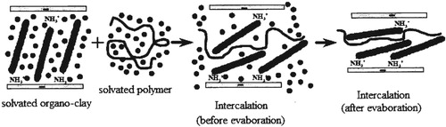 Figure 2. Schematic presentation of the interaction between the polymer and clay ([Citation26] cited in [Citation14]).